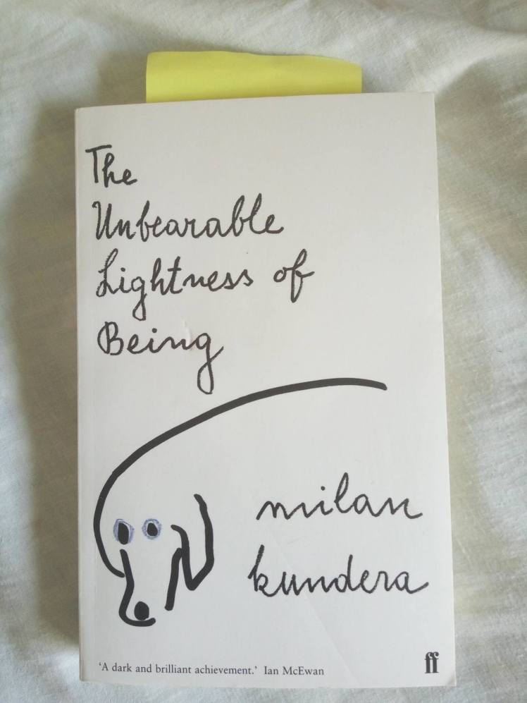 16586643_1635896713104257_937005009_o